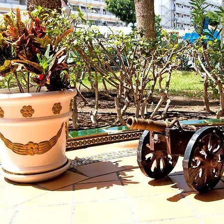 Hotel Bluesea Rey Carlos