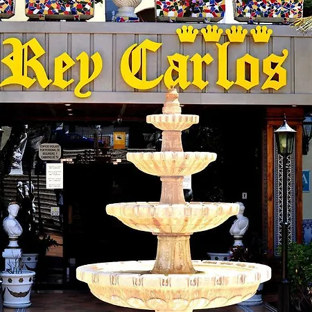 Bluesea Rey Carlos 3* 普拉亚戴尔雷安格莱斯